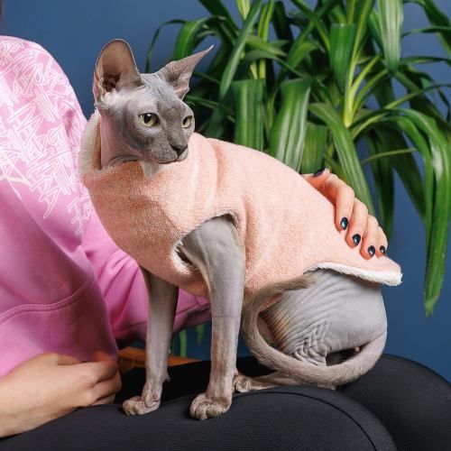 Светр Pet Fashion «Cat» для кота, розмір L, персик PR242970 фото