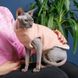 Светр Pet Fashion «Cat» для кота, розмір L, персик PR242970 фото 3