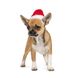 Ковпак Pet Fashion новорічний для собак, розмір XS, червоний PR240455 фото 2