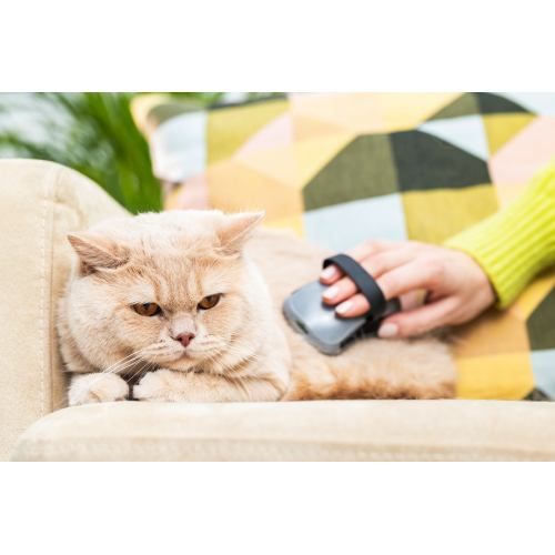 Щітка масажна FURminator для собак та котів, гумова 691715 фото