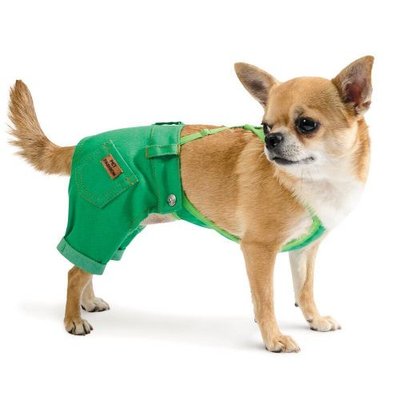 Штани Pet Fashion «Арні» для собак, розмір S, зелені АРНИS фото