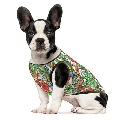 Борцівка Pet Fashion «Ріо» для собак, розмір M, принт РИОM фото