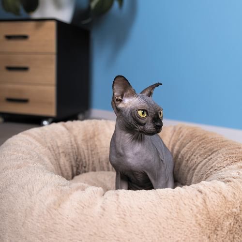 Лежак Pet Fashion «Soft» для котів, 48х48х17 см, бежевий PR243008 фото