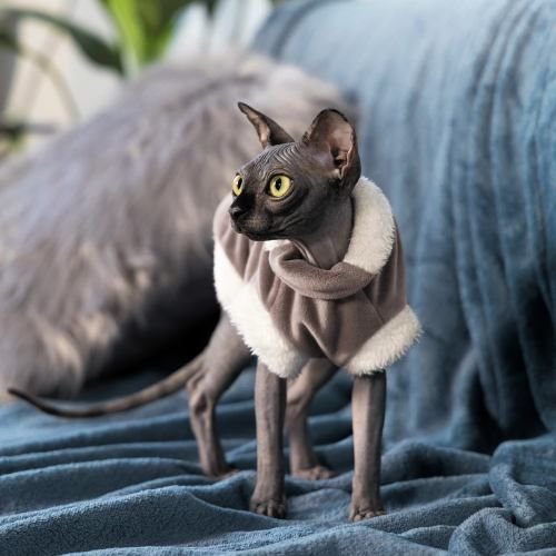 Светр Pet Fashion «Tom» для кота, розмір S, капучіно PR242949 фото