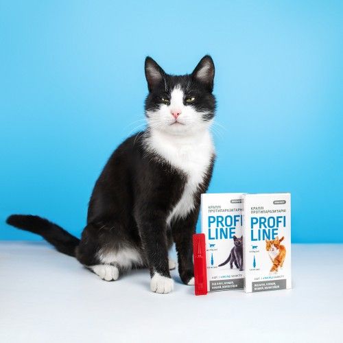 Краплі Provet Profiline для котів 4-8 кг, 4 піпетки по 1,0 мл (інсектоакарицид) PR243110 фото
