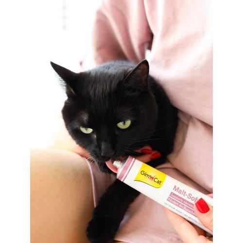 Паста GimCat Every Day Malt-Soft Paste Extra для котів, виведення шерсті зі шлунку, 50 г G-407364/417929 фото