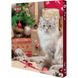 Адвент-календар Trixie для котів, 30×34×3.5 см 9269_Christmas фото 1
