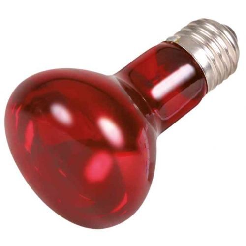 Инфракрасная лампа накаливания Trixie 75 W, E27 (для обогрева) 1111126088 фото