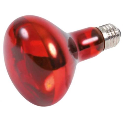 Інфрачервона лампа розжарювання Trixie 100 W, E27 (для обігріву) 1111126089 фото