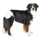 Подгузники Trixie для собак, L 38-56 см, 12 шт. 1111132142 фото 2
