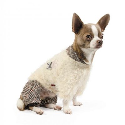 Костюм Pet Fashion «Флер» для собак, розмір M, пудровий ФЛЕРM фото
